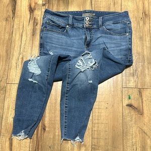 Torrid Super Soft Jeggings